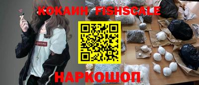 мет Кингисепп