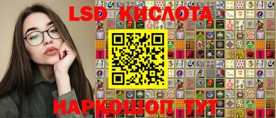 мет Кингисепп