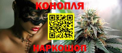 мет Кингисепп