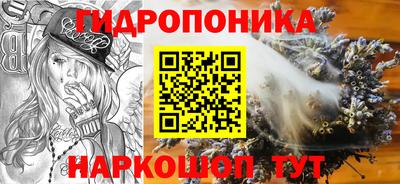 мет Кингисепп
