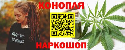 мет Кингисепп