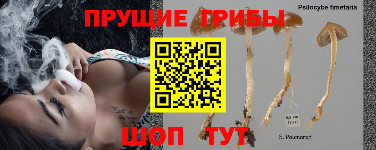 Псилоцибиновые грибы мицелий  Галлюциногенные грибы Magic Shrooms  Вход с VPN  Шали 