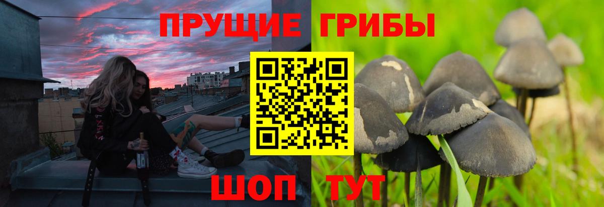 Галлюциногенные грибы ЛСД Шали